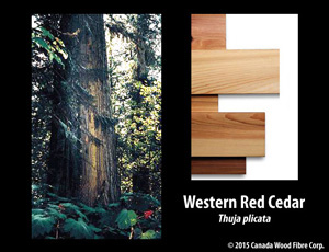 Western Red Cedar